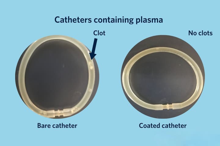 An untreated loop of catheter tubing (left) alongside a clot-free coated loop