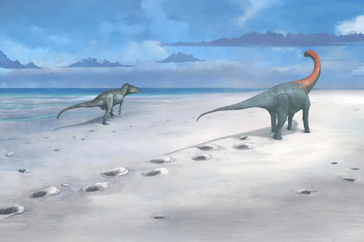 An artist's reconstruction of Megalosaurus and Cetiosaurus traversing the "dinosaur highway" in what is now Oxfordshire