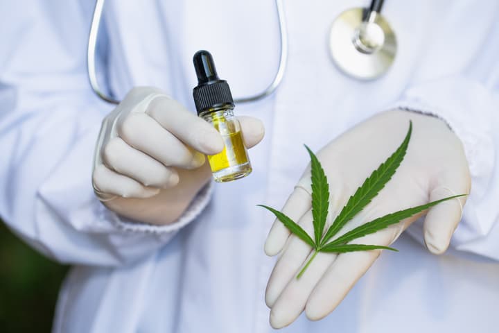 A cannabis extract has proved effective in slowing the growth of melanoma