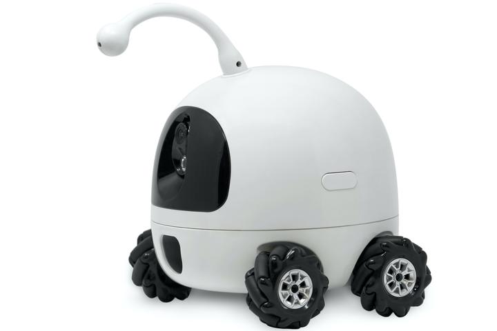 Rocki is remotely controlled over the internet, by pet owners viewing real-time video from the robot's camera