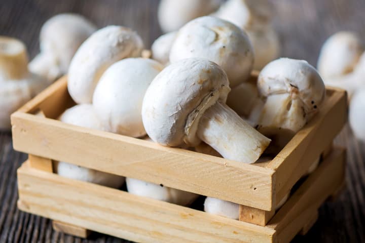 The humble white button mushroom has anticancer properties