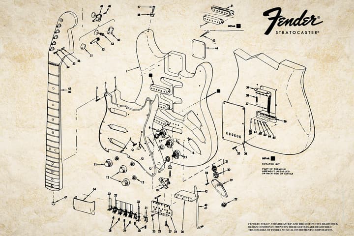 Anatomy of a Stratocaster