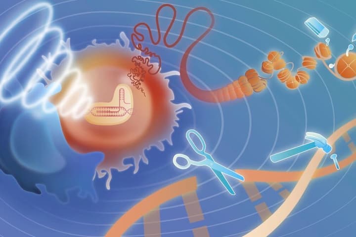 An artist's impression of CRISPR getting to work on cancer cells with the help of ultrasound pulses