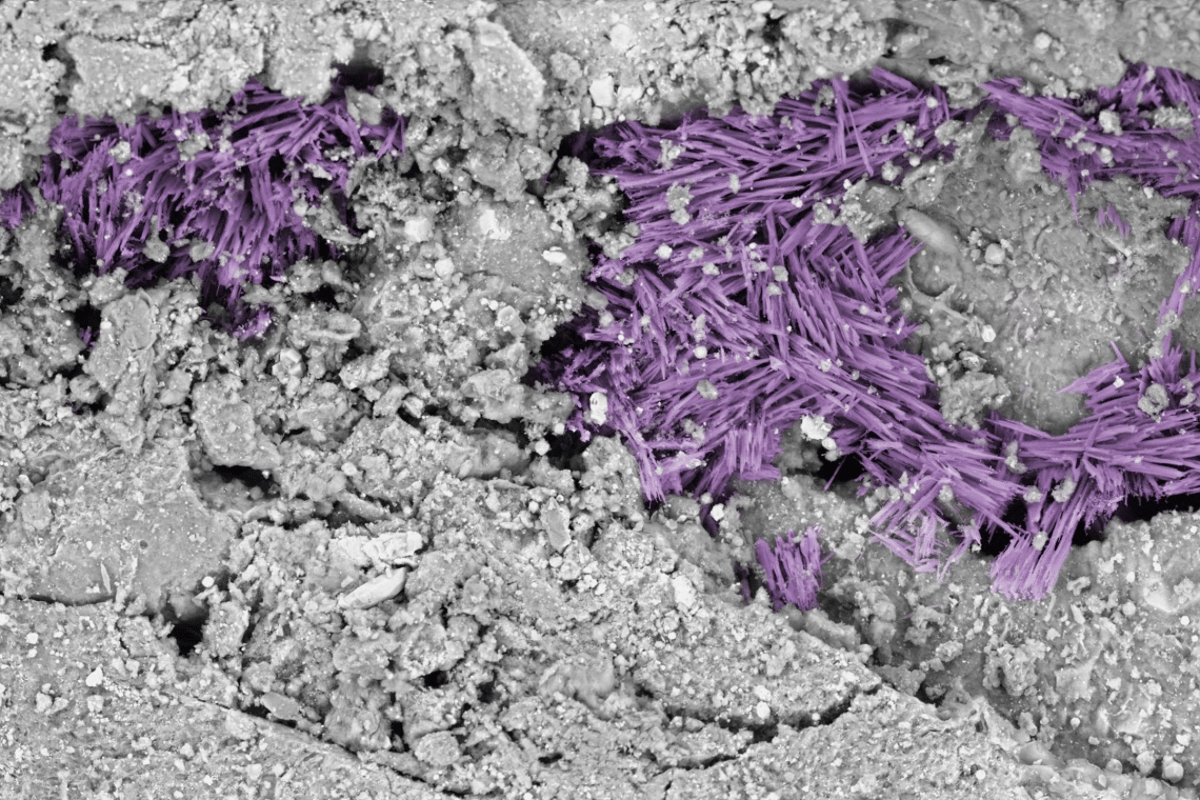 Microscope image showing crystals of hydrated sodium carbonate (purple highlights) in a sample of material from asteroid Bennu