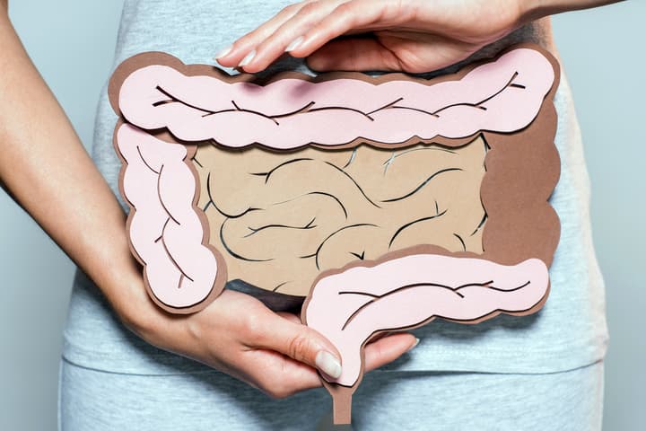 The role of the DUSP6 protein in colon cancer has been discovered