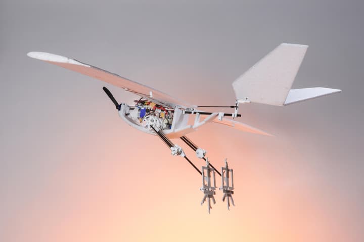 The RAVEN robot in flight, showing off its bird legs