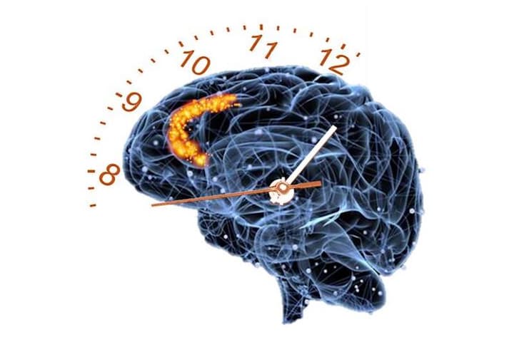 Scientists have studied the brain's perception of the passage of time