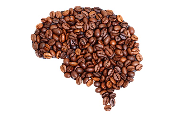 Researchers have found that a compound in coffee improved learning and memory in aged mice