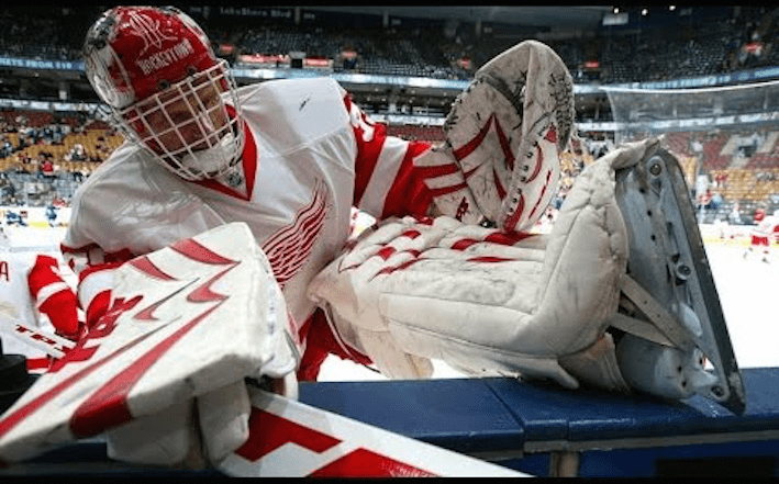 Dominik Hasek, ex-Detroit Red Wings