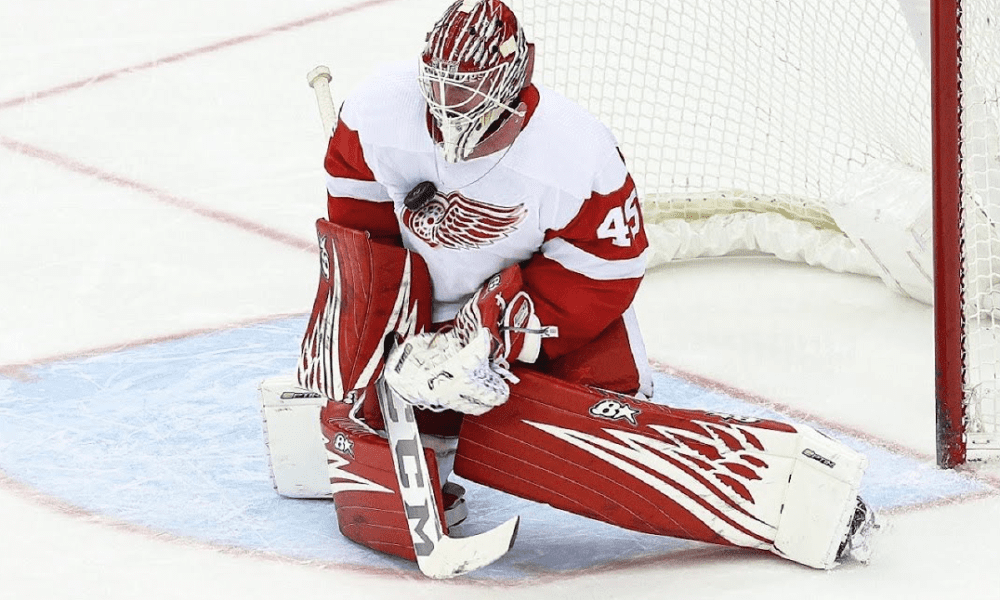 Red Wings Magnus Hellberg