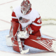 Red Wings Magnus Hellberg