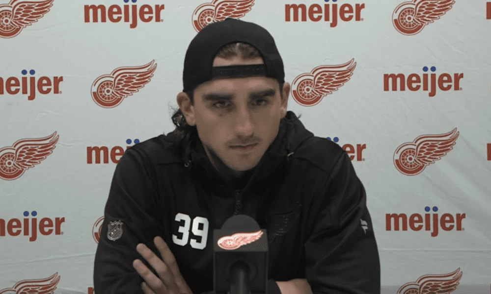 Alex Nedeljkovic, Detroit Red Wings