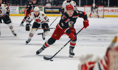 matt luff, grand rapids griffins