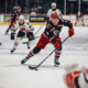 matt luff, grand rapids griffins