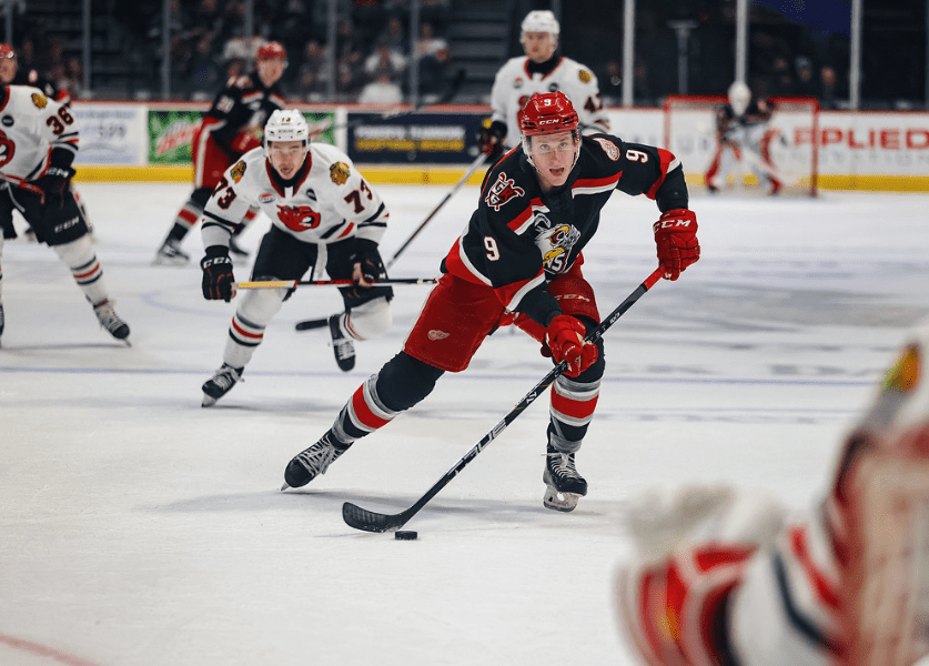 matt luff, grand rapids griffins