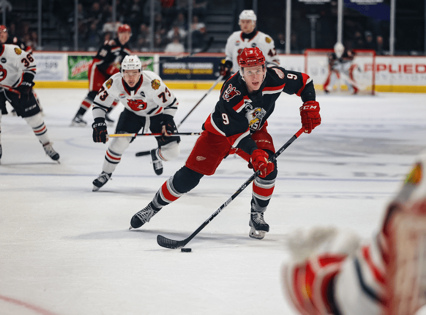 matt luff, grand rapids griffins