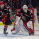 sebastian Cossa, grand rapids griffins